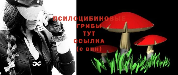 Альфа ПВП Богородицк